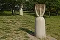 公園に生えている宮重大根（清須市夢広場はるひ）