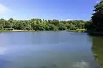 水広下池（2021年8月）