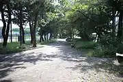 松並木散策路（2016年8月）