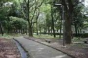 緑陰広場（2016年8月）