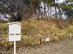 瑞穂2号墳（2016年1月）