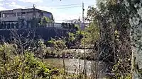 水野川と唐沢川の合流点
