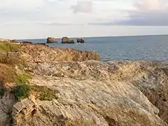 シオン・シュル・ロセアン