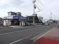 周囲にはシラスを売る店が多い