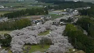 母智丘・関之尾県立自然公園