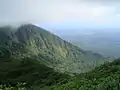 山の斜面