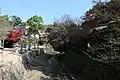 紅葉谷川。筋違橋より上流側