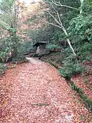 紅葉谷コース