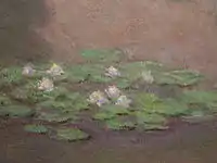 『睡蓮』(部分) 1905年、1907年、ボストン美術館