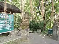 モンキーフォレスト