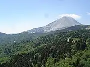 デルフィス山