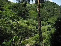 アガルタ山地