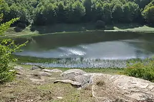 アックーモリの風景