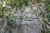 北側の側面は平滑。