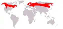 ヘラジカの分布