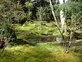 苔庭