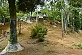 後方部墳丘