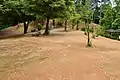 後方部（前方部から望む）