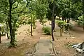 前方部（後方部から望む）