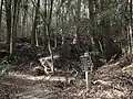 元観音