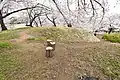後方部墳頂