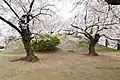 前方部から後方部を望む