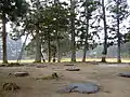 金堂円隆寺跡