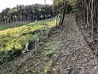 登山道