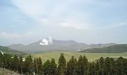 阿蘇の森林