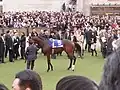 5. マウントアトス