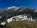 北西から見る四阿山（根子岳との鞍部から）