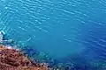 湖面のおよそ4メートル上から