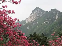亀峰山