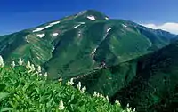 油坂の頭から望む白山の最高峰の御前峰、南竜山荘の山小屋、手前はコバイケイソウの群落(1997年7月19日)