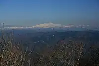山頂の樹間から望む冠雪した白山