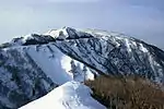 北の伊吹北尾根より（2011年3月6日）