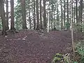 夏の神福山山頂の小広場の模様