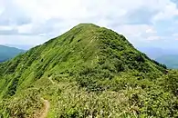 北側の小ピークの白倉岳から望む金草岳
