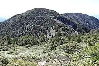 北隣の三浦山から望む小秀山、上部の針葉樹林