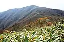 夜叉ヶ池方面から望む三国岳（岐阜・福井・滋賀県境、2008年11月6日）