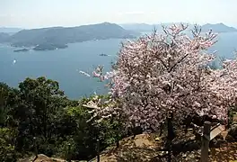山頂からの眺め