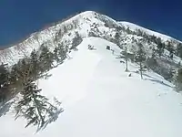 春の麦草岳上部の北面
