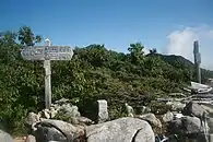 山頂部の三角点