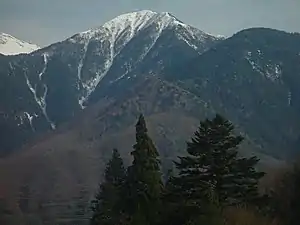 北西山麓の木曽駒高原から望む麦草岳(2008年4月25日撮影)