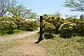 雌岳山頂