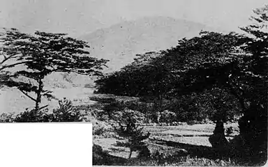 1917年(大正6年)以前の恩納岳