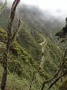サビニョ山内