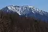 戸倉山から望む赤石山脈の仙丈ヶ岳(2019年1月19日撮影)