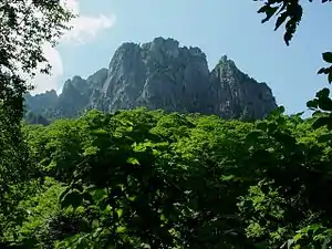 クリヤ谷から望む錫杖岳(2002年8月29日)
