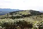 箱岩山から望む笹原が広がる白草山（2014年10月11日）